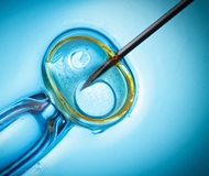 Three-parent babies IVF 'breaches EU law'