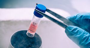 SA's stem cell industry: Preying on the gullible, facilitated by med schemes