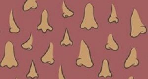 Poor sense of smell in older adults linked to 50% increased mortality risk Noses