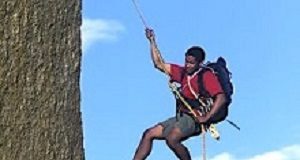 Perseverance to fend off depression, anxiety and panic —18-year study Persevere