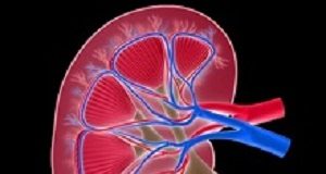 More vigilant monitoring of PPIs by doctors needed Kidney