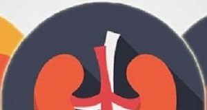 Team finds way to keep lung functioning outside the body OrganDonation