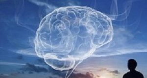 Positive changes in the brains of retreat participants Retreats