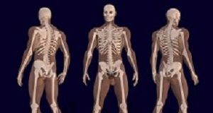 Long-term, weight-bearing exercise promotes bone growth in men EdPickMen