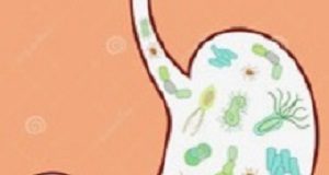 Gut microbiome used to predict advanced NAFLD EDGut