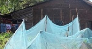 Kenyan study lauds alternative uses for old mosquito nets RAMozzieNets