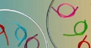 New MIT hydrogel improves patients' experience with catheterisation Hydrogel