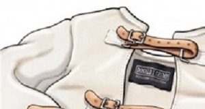 Restricting public comment by psychiatrists on public figures is 'outdated' GoldwaterRule