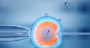 SA court rules in favour of 'posthumous conception' Conception