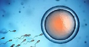 New device selects the faster and healthier sperm cells Technology