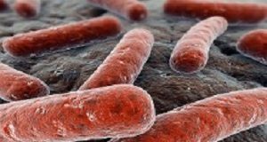New drug combo successfully treats DR-TB Tuberculosis