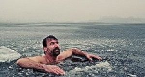 Brain response during controlled whole-body exposure People