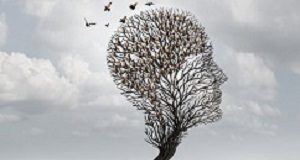 NSAIDs could prevent onset of Alzheimer's — Canadian study Alzheimers