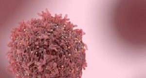 One-two drug combo punch an effective treatment for lung cancers Cancercell