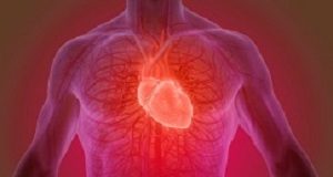 Losing teeth in middle-age linked to CVD risk Cardiovascular