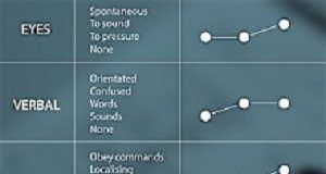 New assessment tool builds on Glasgow Coma Scale GlascowComa