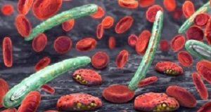 London summit pledges $4.1bn to eradicate malaria 3d illustration of blood cells, plasmodium causing malaria illness