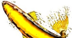 Fish oil may reduce pain in osteoarthritis – UK meta-analysis Fishoil