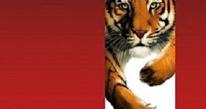 Independent results confirm listeriosis source at Tiger Brands facility TigerBrands