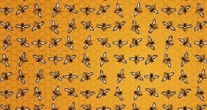 Spoonful of honey helps a button battery go down Honey