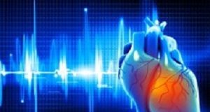 Women under-treated for heart attack die at double the rate of men Digital illustration of Human heart