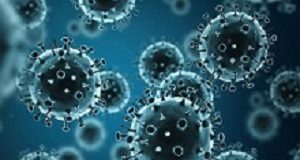 Why men may recover from flu more quickly than females Influenza Virus H1N1