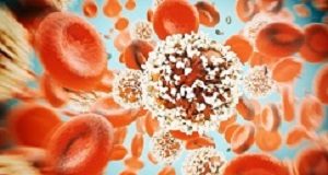 IARC report shows rising global toll of cancer Cancer Cell