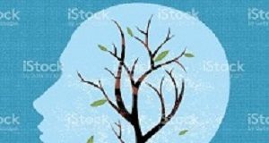 One month of cannabis abstinence improves memory in adolescents, young adults Cannabis