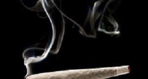 Cannabis addiction linked to altered connectivity in the brain’s striatum dagga