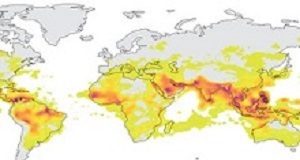 Extreme heat exacerbating global health risks — UN scientific report Climatechange