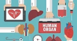 The complex reasons behind SA's organ donor shortage HumanOrgan