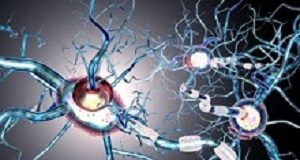 Early treatment of MS symptoms delays progression to disability Schlerosis