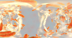 Remodulating hospital microbiota cuts infections and costs Microbia