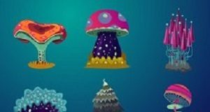 Psychedelic mushrooms can help depression, anxiety, addiction Mushrooms