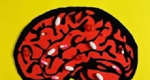 Report pans supplements for brain health as ‘huge waste of money' Brain