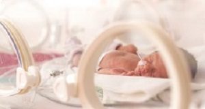 Probiotics may halve gut problems and infections in very premature babies Incubator