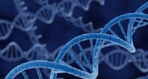 US man becomes a chimera after bone marrow transplant Genes