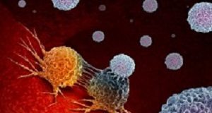 New T-cell therapy has potential to kill most human cancer types – animal study Cancer