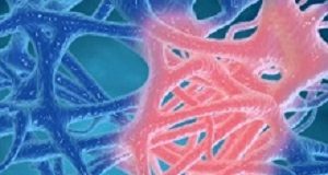 Inflammation's possible role in psychiatric disorders Inflammation