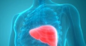 Swiss transplantation breakthrough keeps human livers alive for a week Liver