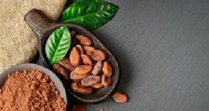 Cocoa may improve walking in people with peripheral artery disease — small study Cocoa