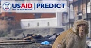 Virus hunters of Sierra Leone pursue the next deadly coronavirus PredictUSAID