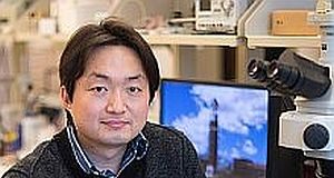 Wearable patch may provide new treatment option for skin cancer Lee