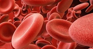 New mobile health tool measures haemoglobin without drawing blood Blood