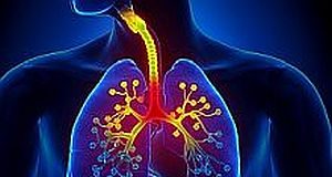 Clinicians ignore international guidelines on minimum effective dose for asthma