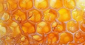Honey superior to usual care for upper respiratory tract infections — Oxford study