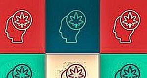 Cannabis use has a debatable impact on cognitive functioning