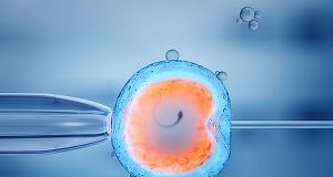 A fifth of IVF cases in UK are now over-40s women