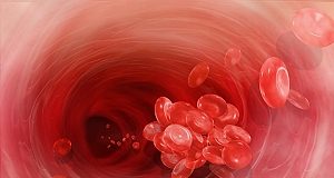 Single-shot abelacimab cuts venous thromboembolism risk in knee surgery