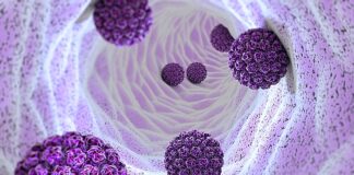 HPV vaccine cuts cervical cancer by nearly 90% — UK population registry study